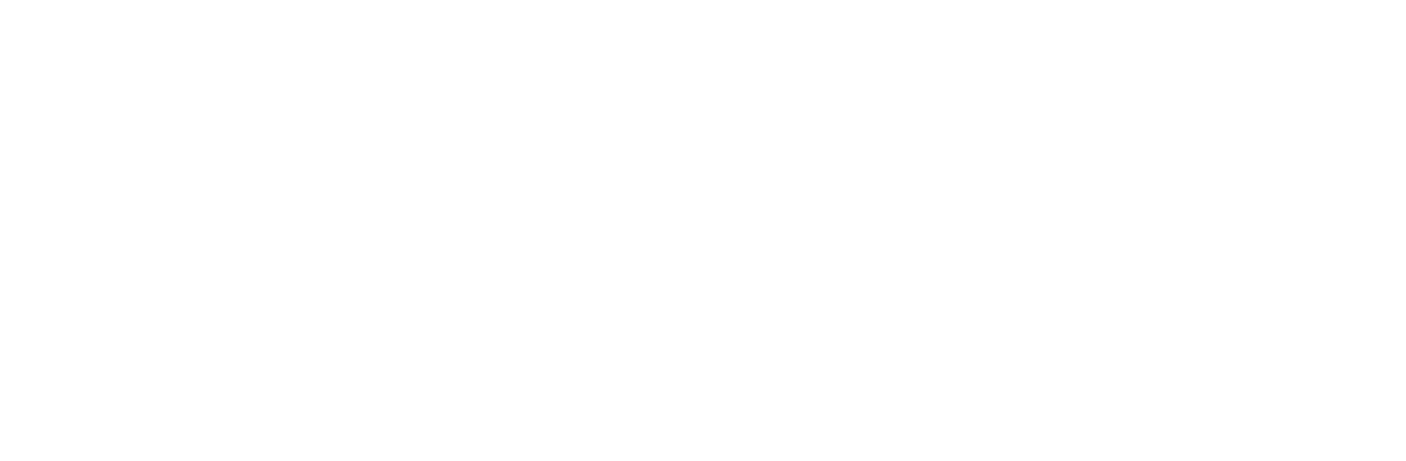 Karlstad IBF